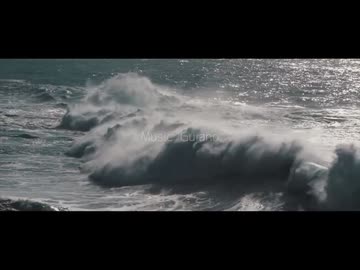 死んでしまったのだろうか【歌ってみた】