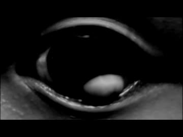 010011010100010101001101010001000100110101010000