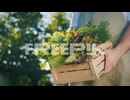 male farmer holds a box of fresh lettuce leaves 1