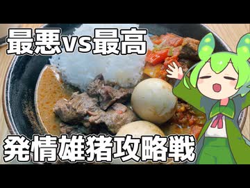 【決着】発情オス猪はルンダンしろ【ももんじゃきりたん】