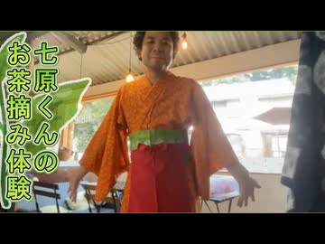 七原くんの初めての茶摘み体験【iPhone12熱暴走・一芯二葉】