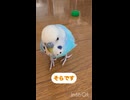 そらに注目！□