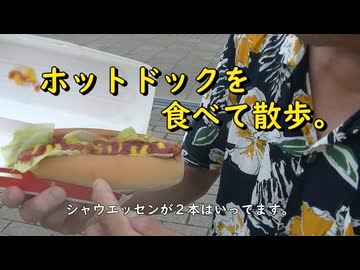 ホットドックを食べて散歩。