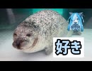 高速道路は甘え。一日で岡山→鳥取→神戸制覇！！！