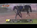 農林水産大臣賞典 第48回建依別賞 パドック～本馬場入場