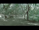 歩くビートと人 feat Ryo