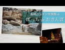 【ぼっちdeおさんぽ】長崎ペンギン水族館+α
