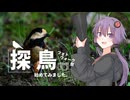 探鳥始めてみました。フォトウォーク祭！