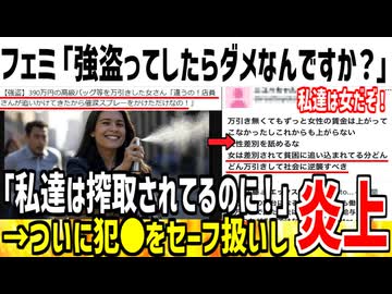 【悲報】フェミ「強盗ってしたらダメなの？私達は搾取されてるのに！」→ダメに決まってるだろと批判され炎上してしまうwww