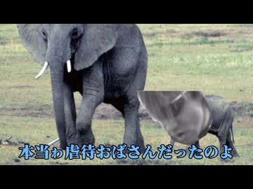 ぞうさんゎね　本当ゎ虐待おばさんだったんだよ