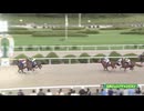 ＪＲＡ認定 第36回九州ジュニアチャンピオン サキドリトッケン