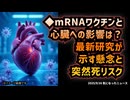◆mRNAワクチンと心臓への影響は？最新研究が示す懸念と突然死リスク