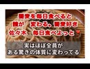 ２５・９・１６　大好きな　蕎麦　毎日食べられる　幸せ❣️❣️❣️