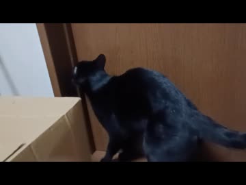 部屋から出たいこま