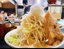 【第三回ニコニコラーメン祭遅刻組】【外食部門】過去の出かけたところにて思い込み実況【お出かけ】