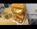 火星人 /  Covered by 業スー巨大食パン食べても絶対に太らない男