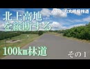 4画面バイク車載　八戸川内大規模林道　遠野→岩泉→袖山高原　2倍速　その1