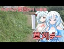 2025年9月16日　農作業日誌P1485　なんかやらねばならぬ事はあっても草刈りを頑張ってしまった
