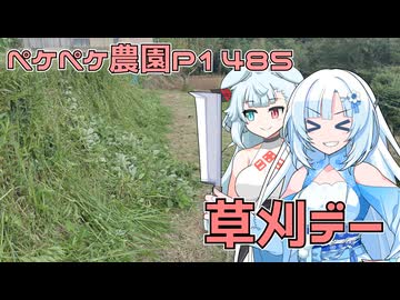 2025年9月16日　農作業日誌P1485　なんかやらねばならぬ事はあっても草刈りを頑張ってしまった