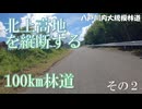 4画面バイク車載　八戸川内大規模林道　遠野→岩泉→袖山高原　2倍速　その2