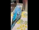 大興奮！