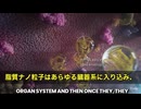 COVID-19のmRNA製剤、これが「ワクチン」と呼ばれている事に疑問が投げかけられています。専門家のジェイク・スコット医師にも突きつけられるべき指摘、「これは実際には合成の遺伝子導入技術だ」‼️