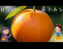 毒ありミカンってカビてるってこと？『白雪姫の毒ミカン』