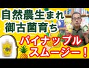 「パイナップルスムージー」日本豊受自然農