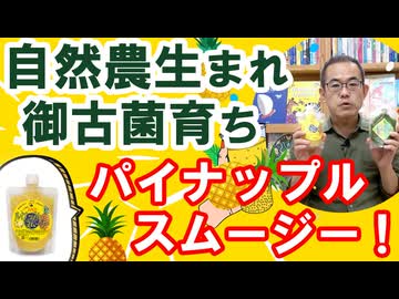 「パイナップルスムージー」日本豊受自然農