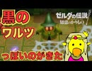 裂け目突入！！【ゼルダの伝説 知恵のかりもの】　＃１４