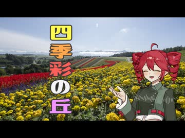 てとととてとてと【フォトウォーク祭2025】