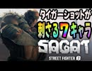 【スト６】タイガーショットが刺さるキャラ７選【Ver.2.0001.000】