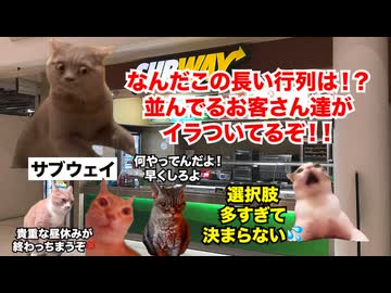 【SUBWAY サブウェイ】初見殺しの注文方式で客離れが加速！？健康志向のファストフードチェーンが日本で流行らない理由 #猫マニ #猫ミーム