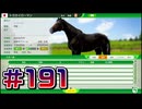 【ウイニングポスト10 2024 】こっちでめざせ！G1全制覇！ウイニングポスト10 2024 #191【実況プレイ】