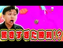ランクノックアウトで誰もが驚く奇跡の優勝を果たす!【フォールガイズ】
