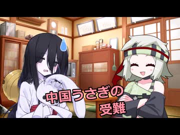 【ソフトウェアトーク劇場】中国うさぎの受難【中国うさぎ】