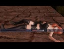 【ファイアーエムブレム無双】【リョナ】【セリカ】 ペガサスナイトにやられるだけPart４２