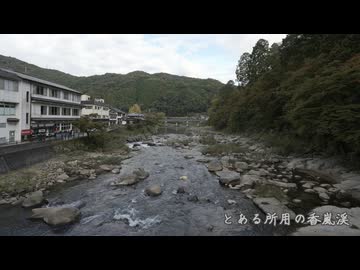 【フォトウォーク祭2025】とある所用の香嵐渓