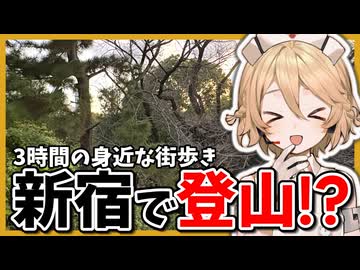 3時間で巡る 新宿街ぶら歩き【登山？】