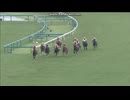 2011 神戸新聞杯(GII)　オルフェーヴル