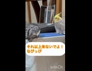 僕も乗れた！