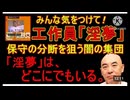 ホモと見る工作員「淫夢」
