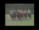 1997 オールカマー(GII)　メジロドーベル