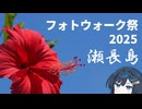 【フォトウォーク祭2025】瀬長島でさんぽ