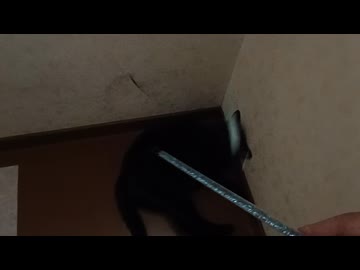 踊り場で遊びこま