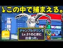 ポケモンを「街の中」で捕まえる