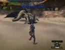 映像日記第12回　逆襲！ディアブロスpt2