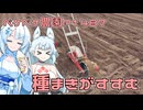 2025年9月18日　農作業日誌P1487　雨の直前に種まきとかいろいろ頑張っちゃった！