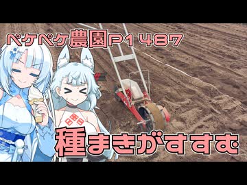 2025年9月18日　農作業日誌P1487　雨の直前に種まきとかいろいろ頑張っちゃった！