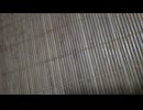 都会風のお洒落な女性なのに…